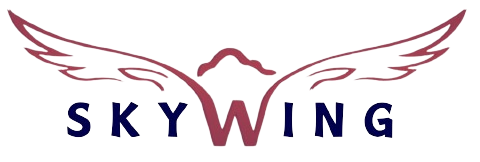 SkyWings Logo
