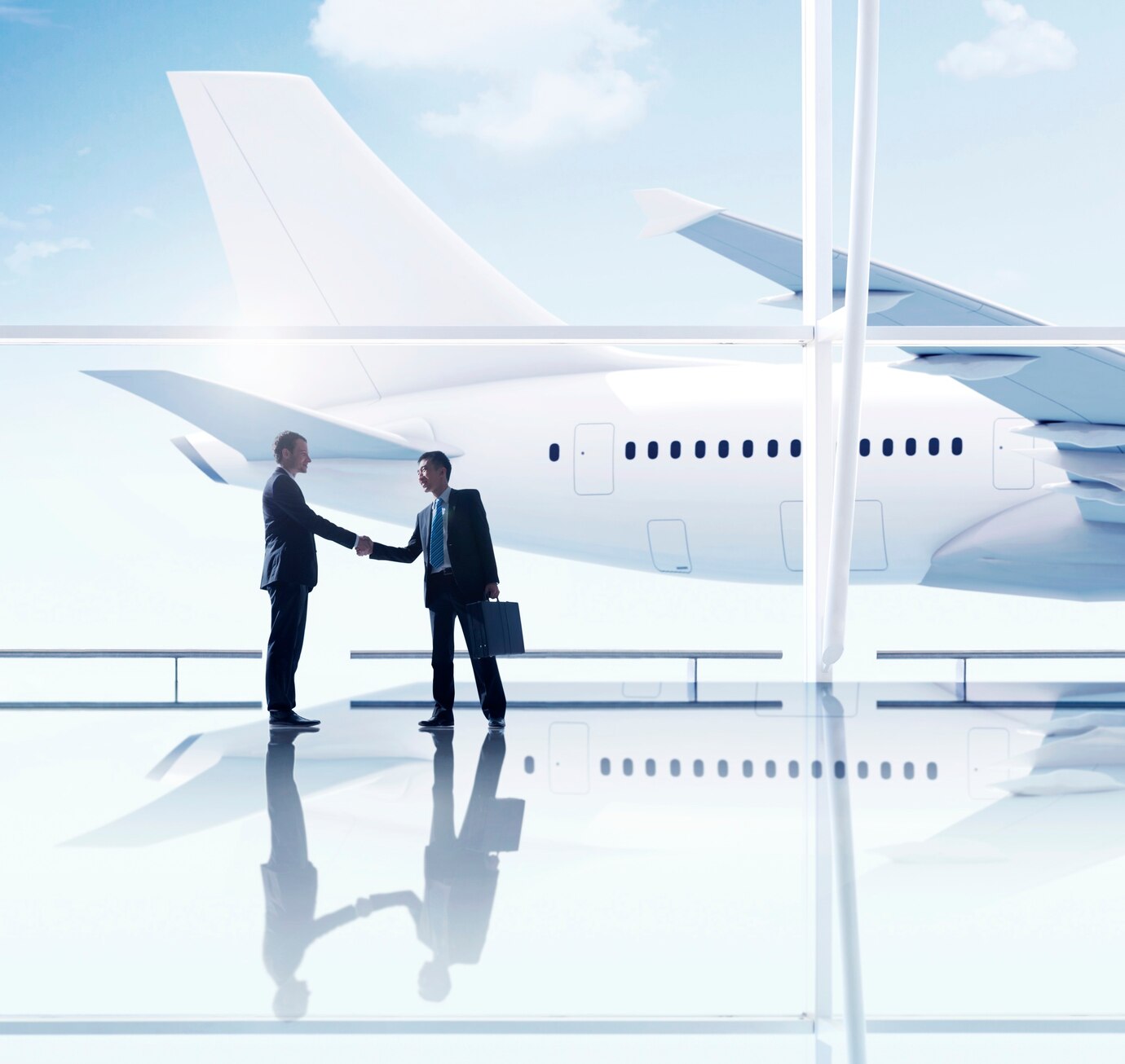 Why Choose SkyWings